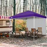 Canopy SunWall for E100 10x10 Straight Leg Pop Up Canopy, 1 Sidewall - Eagle Peak Custom Canopy Tent