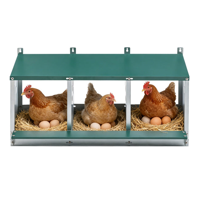 EAGLE PEAK 3/4/6/8/10 - Hole Wall Mounted Chicken Nesting Box (Green) - Eagle Peak Custom Canopy Tent