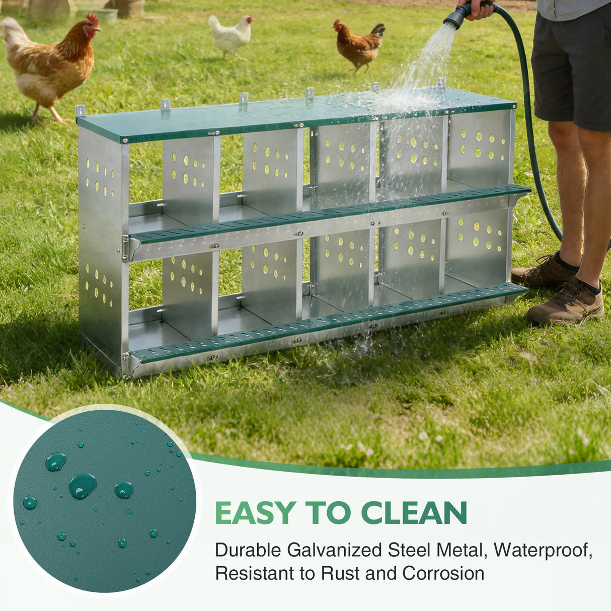 EAGLE PEAK 3/4/6/8/10 - Hole Wall Mounted Chicken Nesting Box (Green) - Eagle Peak Custom Canopy Tent