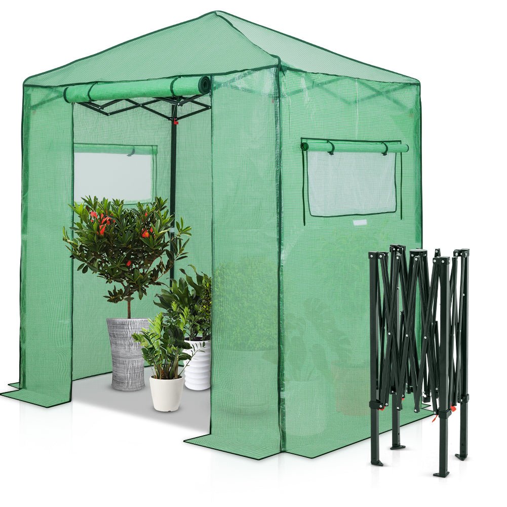 Easy Fast Setup Instant 6x4 Walk - in Indoor/Outdoor Greenhouse - Eagle Peak