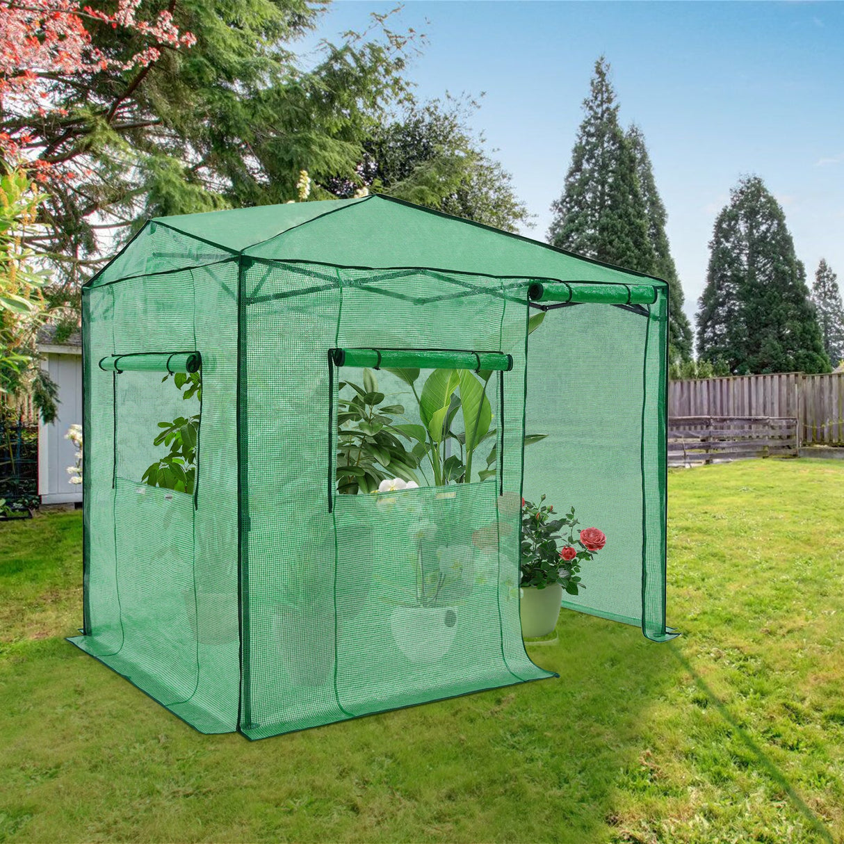 Easy Setup 8x6 Instant Pop Up Greenhouse - Eagle Peak