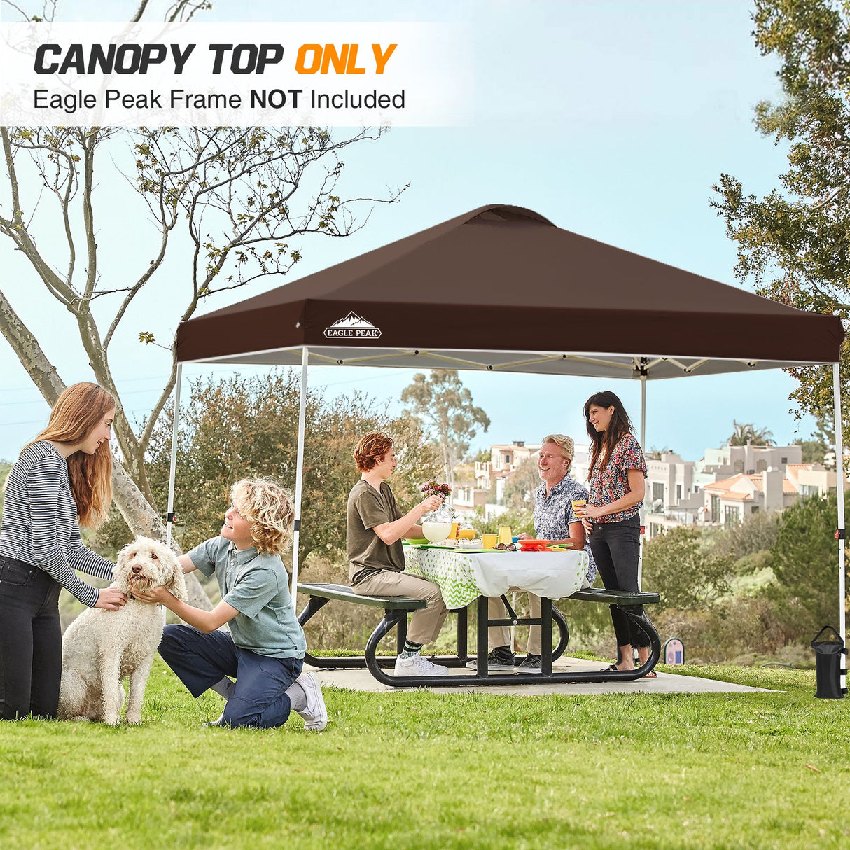 Replacement Canopy Cover with Air Vent for 10x10 Pop Up Canopy Tent, Top Only - Eagle Peak Custom Canopy Tent