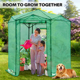 6.6x6.6 ft Hexagon Pop up Greenhouse