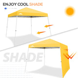 Sunwall / Sidewall for 10x10 Slant Leg Canopy Only, 1 Sidewall - Eagle Peak Custom Canopy Tent