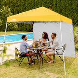 Sunwall / Sidewall for 10x10 Slant Leg Canopy Only, 1 Sidewall - Eagle Peak Custom Canopy Tent