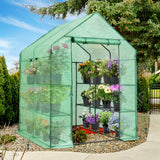 Walk In 3 - Tier Greenhouse with Wire Shelves, 56"x56"x76" - Eagle Peak